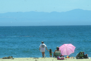 Santa Cruz Magazine